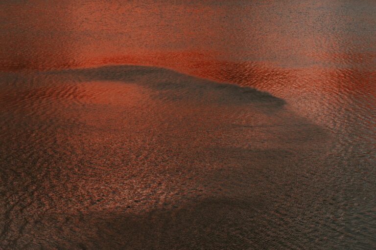 pexels-eberhardgross-1182651