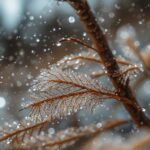 weather(1)