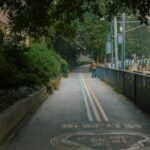 pexels-officialpoi-35203342(1)