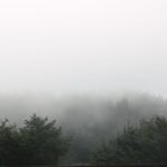 fog