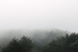 fog