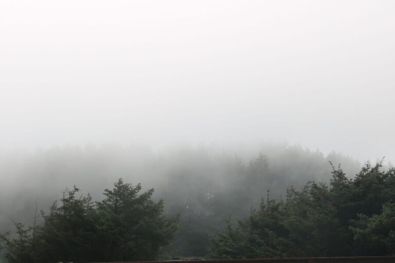 fog