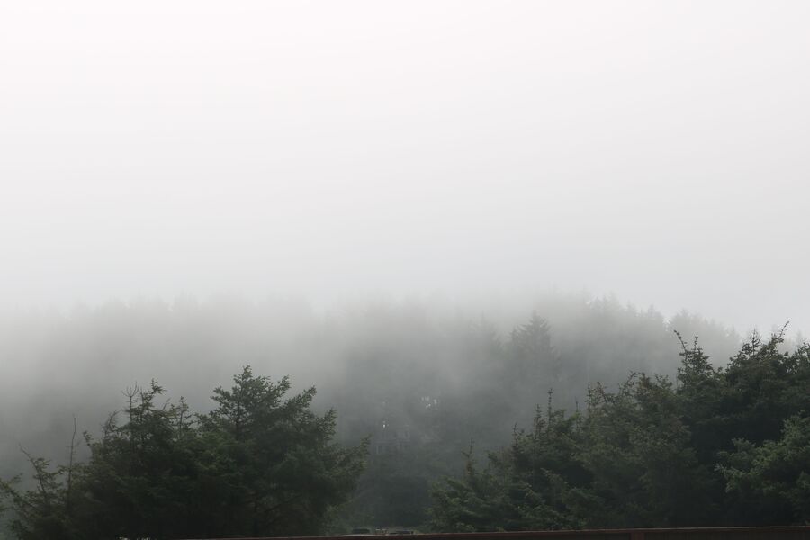 fog