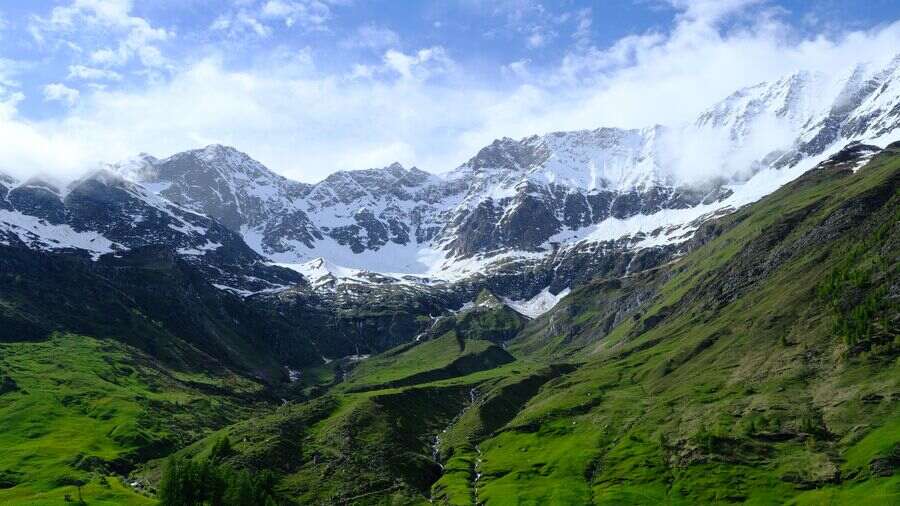 alpine