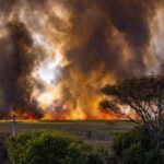 bushfire