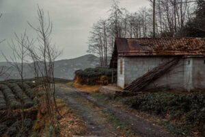 japanempty