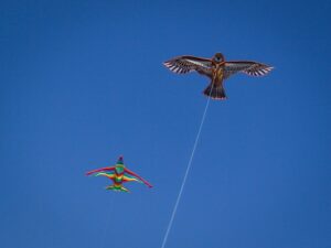 kite